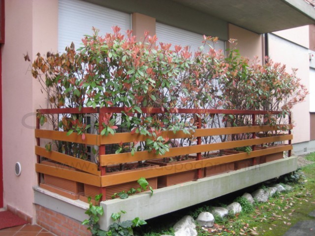 Appartamento in Affitto a Forte dei Marmi